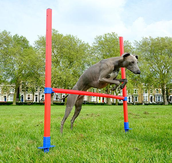 Rosewood Agility Hurdle - Ormskirk Pets