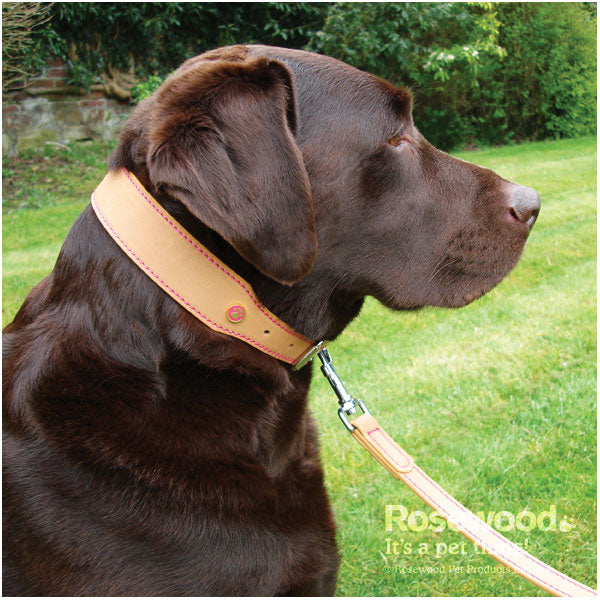 Rosewood Collars Tan