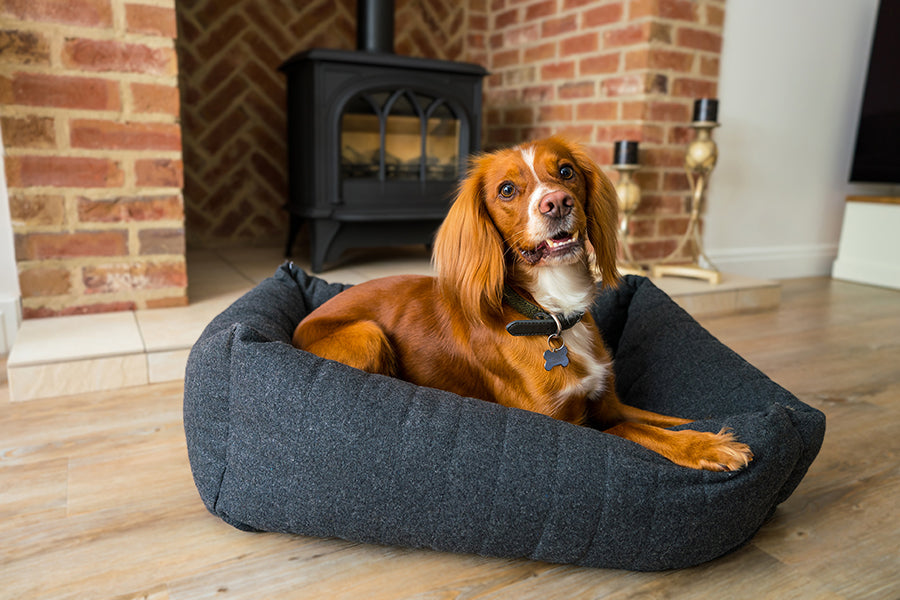 40 Winks Grey Felt With Support Square