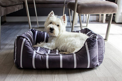 40 Winks Grey Velvet Stripes Square