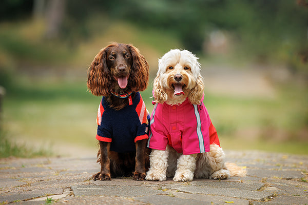 Joules Lydford Raincoat Large