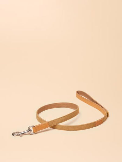 Joules Tan Lead