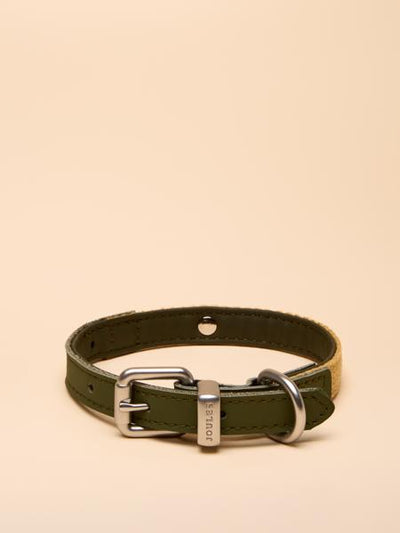 Joules Khaki Collar