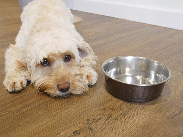 Rosewood Deluxe Steel Bowls Grub Steel Pet Bowl