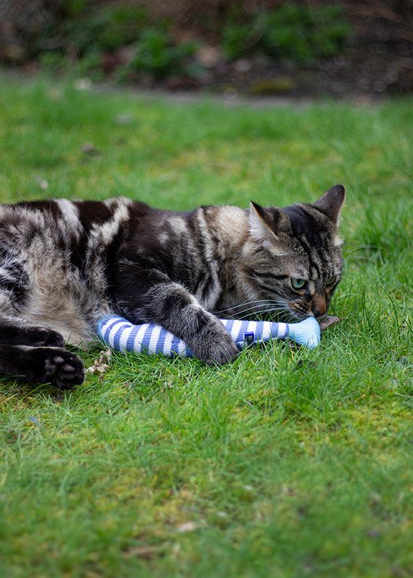 Rosewood Battersea Catnip Kicker Fish (stripe) - Ormskirk Pets
