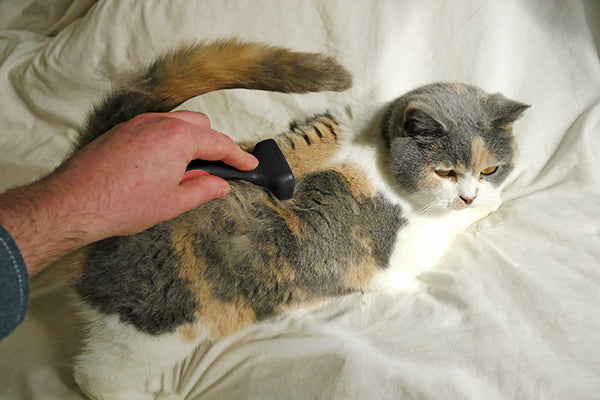 Rosewood Soft Protection Moult Stoppa