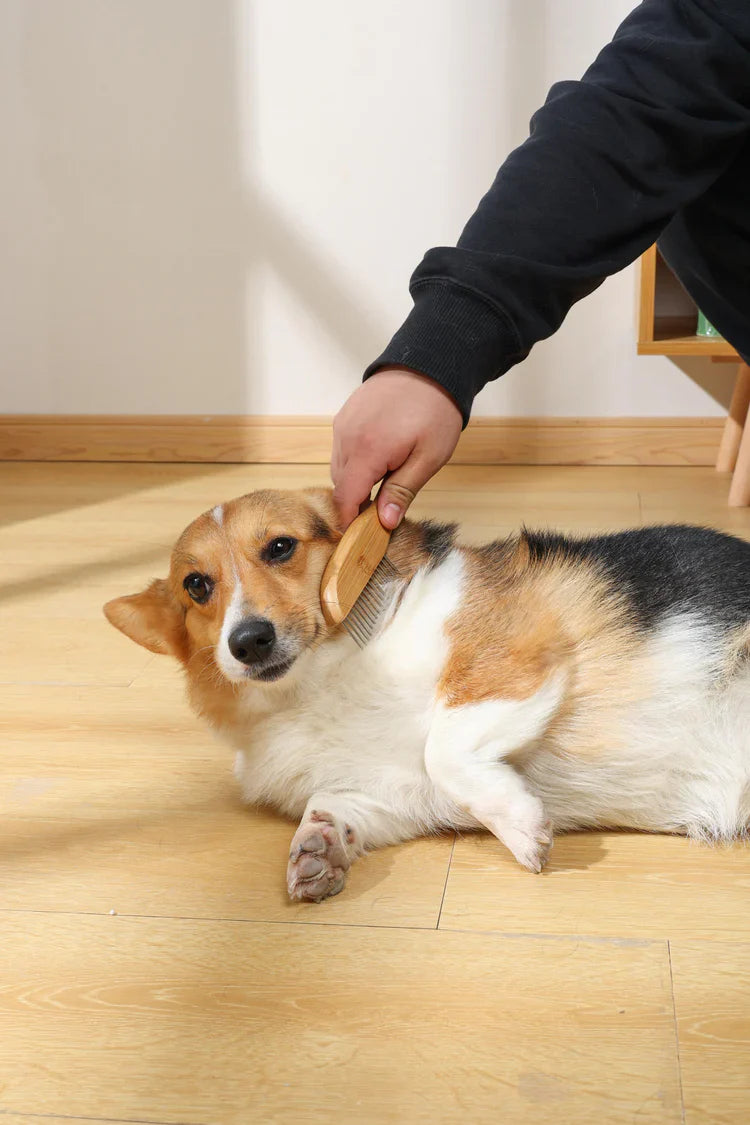 M-PETS Bamboo Regular Comb With Rotating Teeth