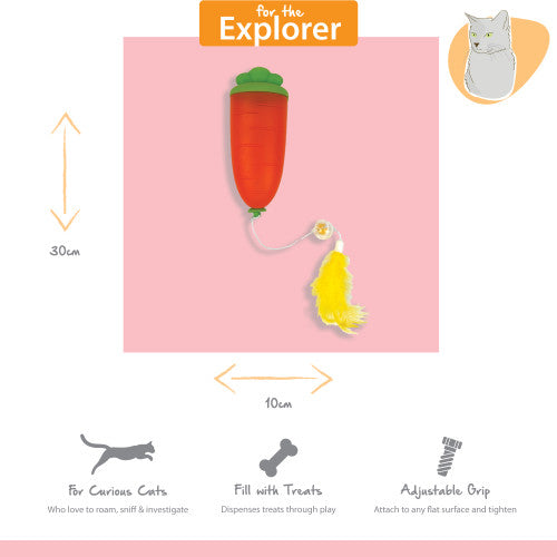 Tabby Patch Carrot Cat Treat Dispenser