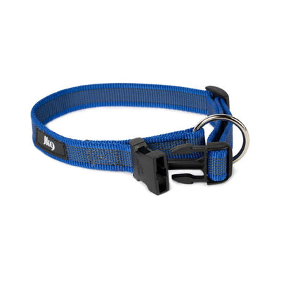 Julius-K9 Color & Grey Collar Blue & Grey
