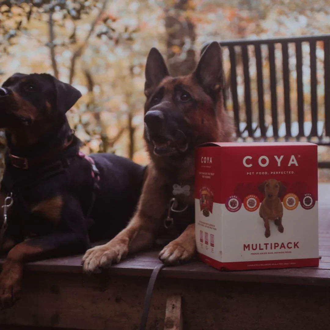 Coya Freeze Dried Adult Dog Food Multipack 12 x 150g
