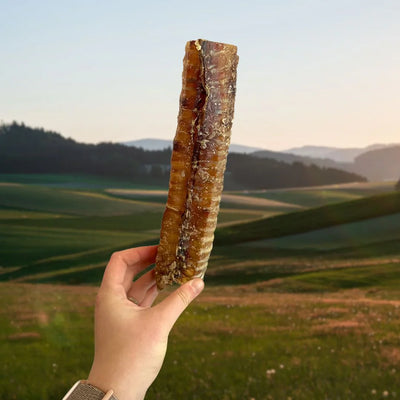 Paddock Farm Beef Trachea 24cm 1KG