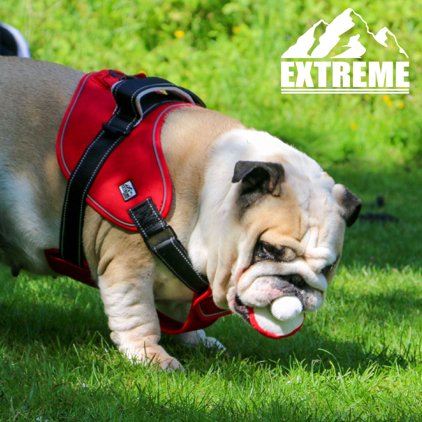 Ancol Extreme Dog Harness Red 68-86cm