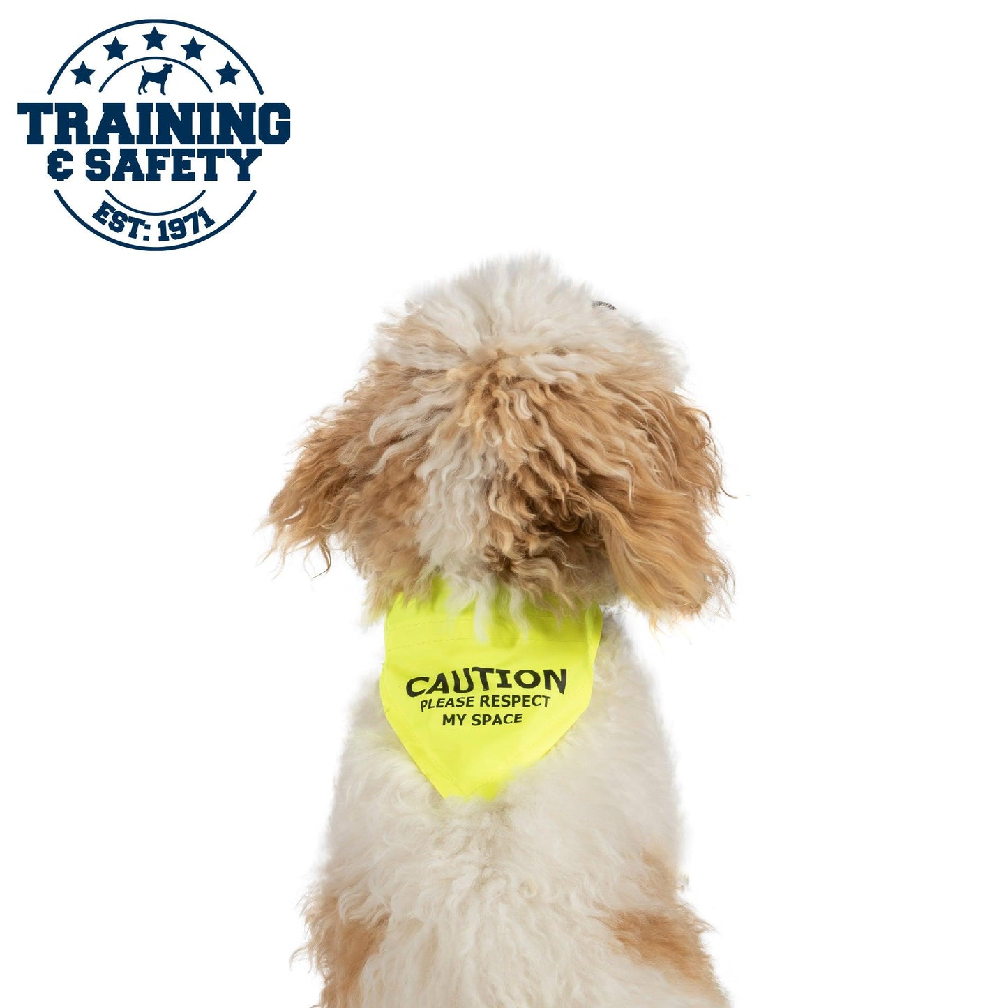 Ancol Warning Bandana Yellow M/L 36cm - Ormskirk Pets