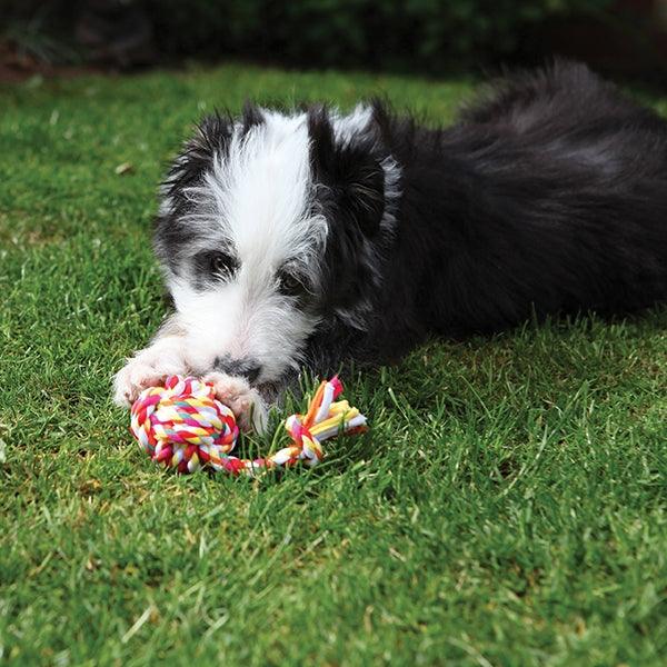 Rosewood Small cotton rope bone - Ormskirk Pets