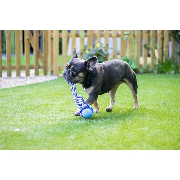 Rosewood Tennis Ball Tug Asstd - Ormskirk Pets