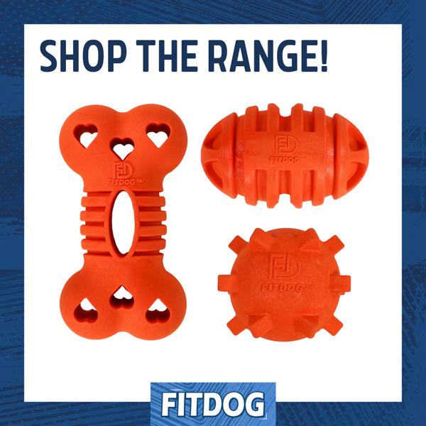 Rosewood Fitdog Rugby Ball Throw Toy