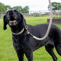 Ancol Heritage Cotton Rope Lead Natural 150x1.5cm