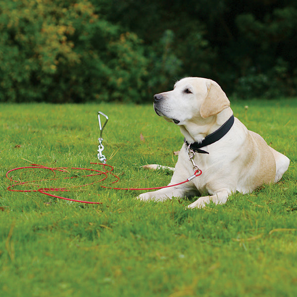 Rosewood Yard Accessories Tie-Out Cable Choose size