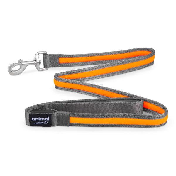 Animal Instincts Flashing Safety USB Nylon Leash Grey/Orange 1.2M - Ormskirk Pets