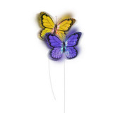 All For Paws Interactives - Roll Around Flutter Bug