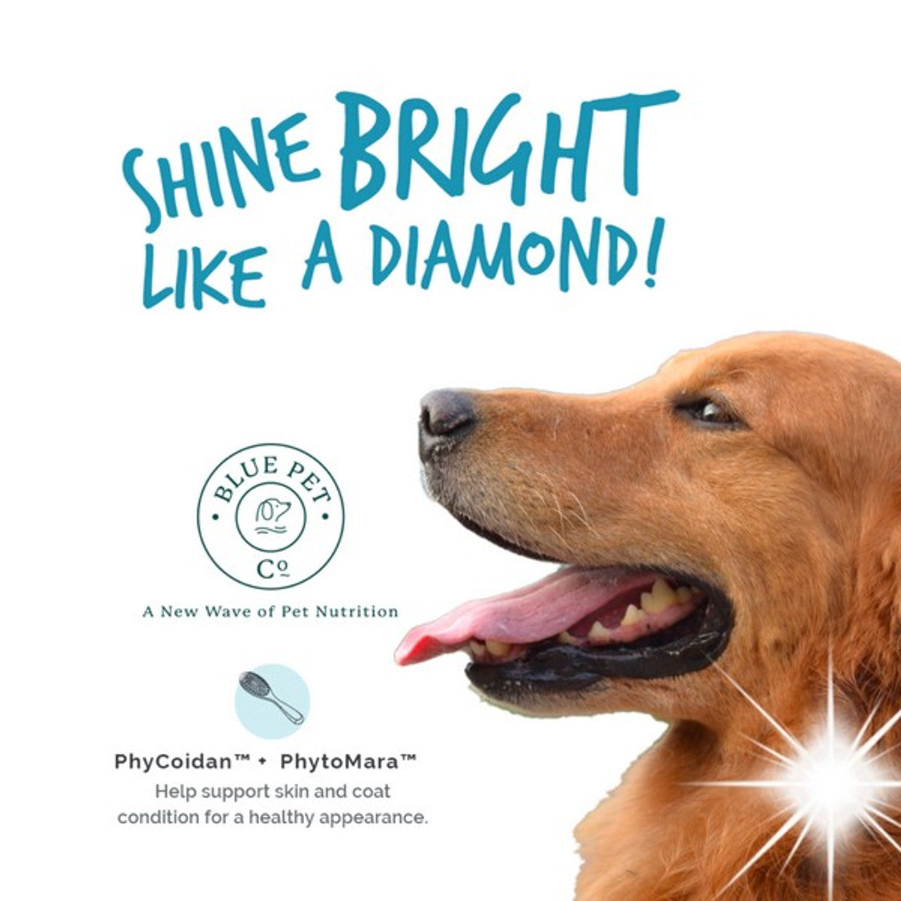 Blue Pet GoShine Skin & Coat Supplement Peanut Butter