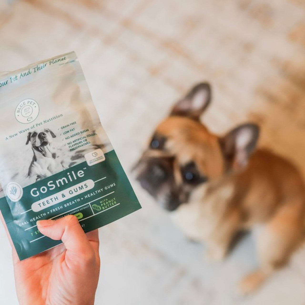 Blue Pet GoSmile Teeth & Gum Supplement Peanut Butter