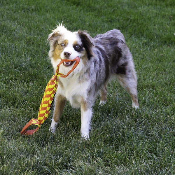 Kong Maxx Tug - Large
