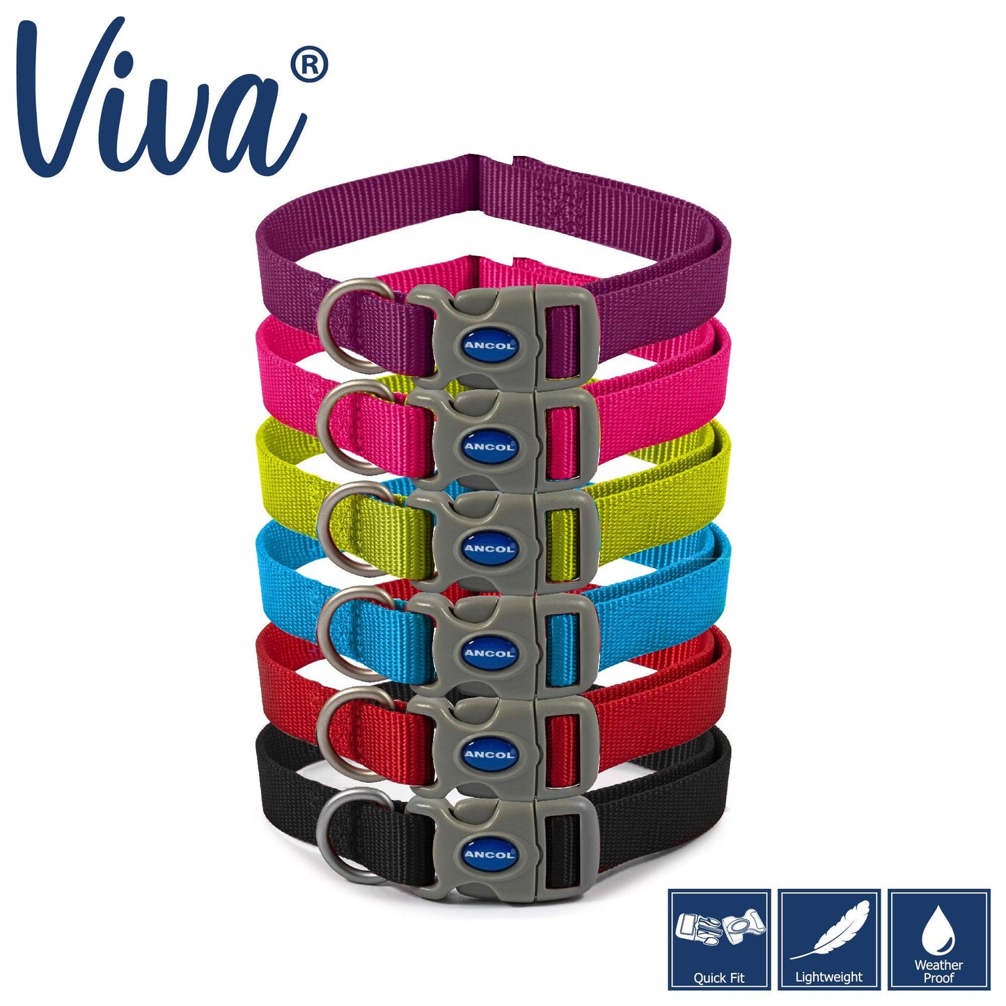 Ancol Viva Adjustable Collar Blue 30-50cm Size 2-5 - Ormskirk Pets