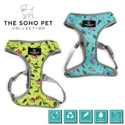 Ancol Dino/Ice Cream Patterned Harness L - Ormskirk Pets