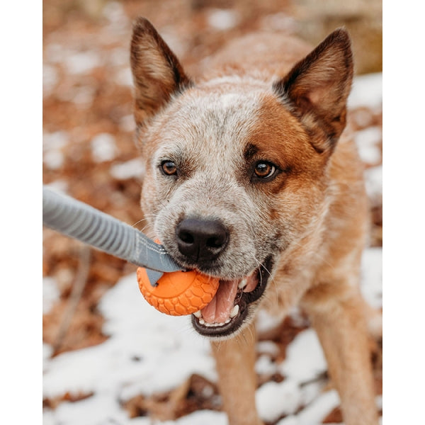 N-Gage Bungee Handler