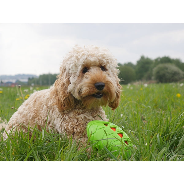 Rosewood Tough toys Crunch Rugby Ball