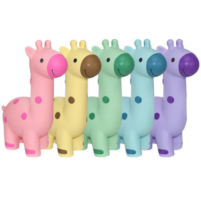 Giraffe Latex Assorted Colour Single