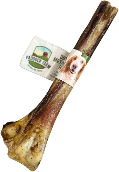 Paddock Farm Ostrich Metatarsus Bone Single