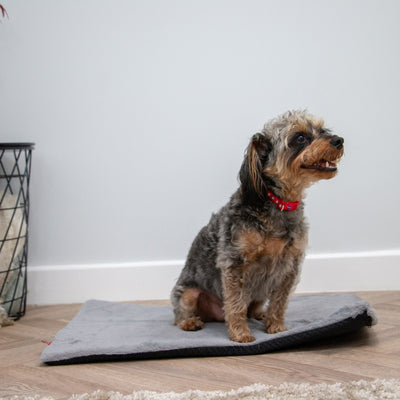 Ancol Sleepy Paws Flat Pad Grey