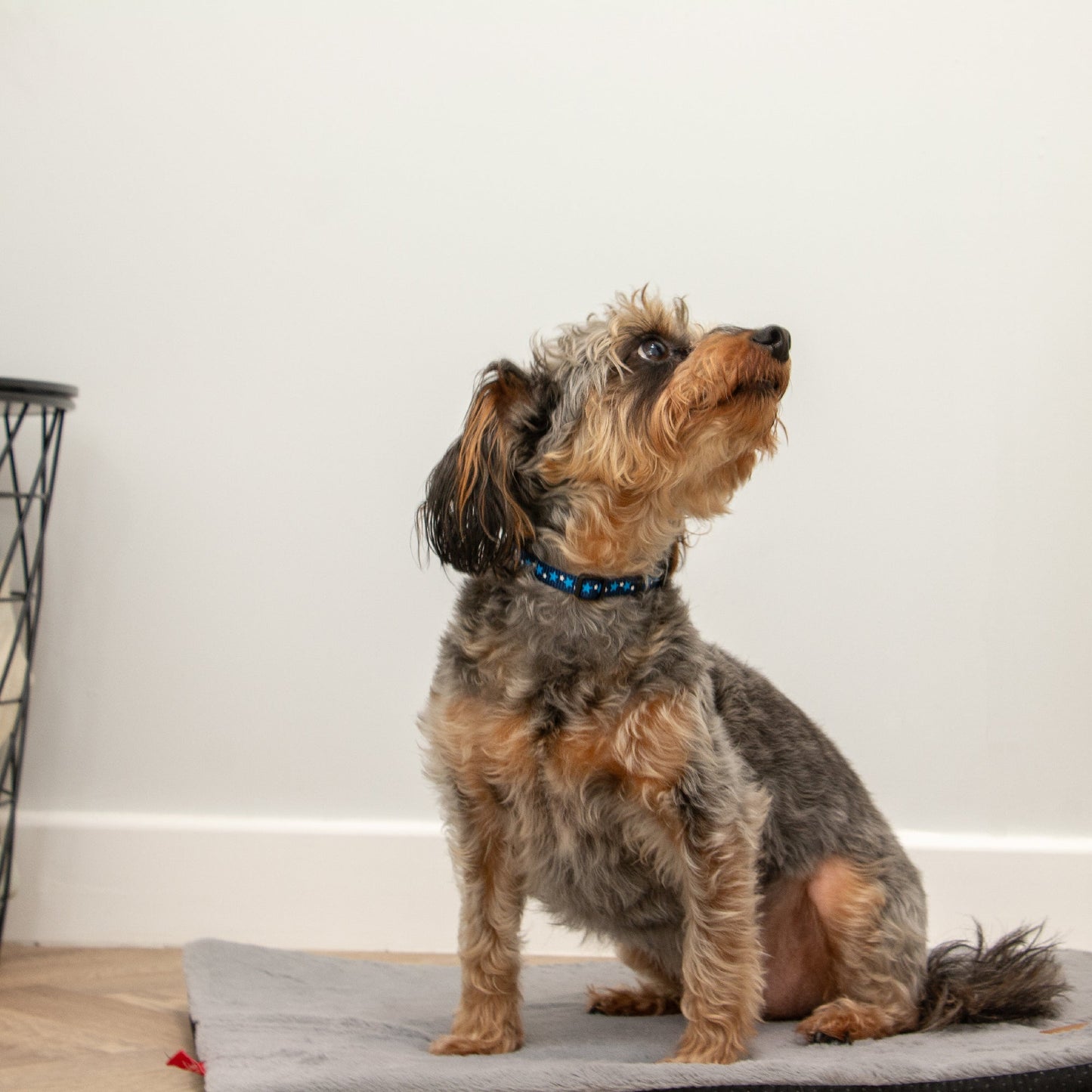 Ancol Sleepy Paws Flat Pad Grey