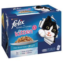 Felix As Good As It Looks Kitten Fish Selection in Jelly 12 Pack 100g - Ormskirk Pets