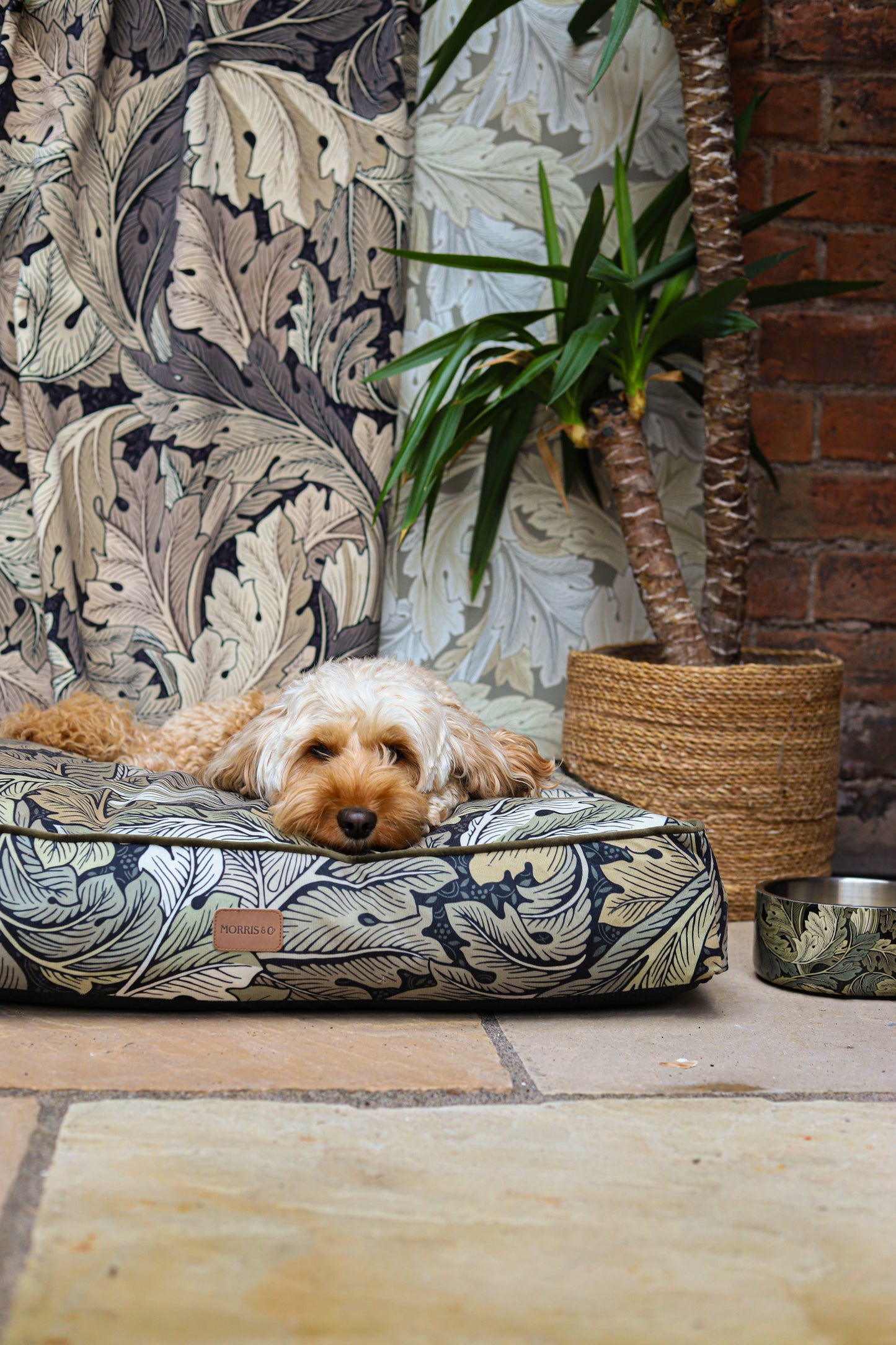 William Morris Square Dog Bed Acanthus Print