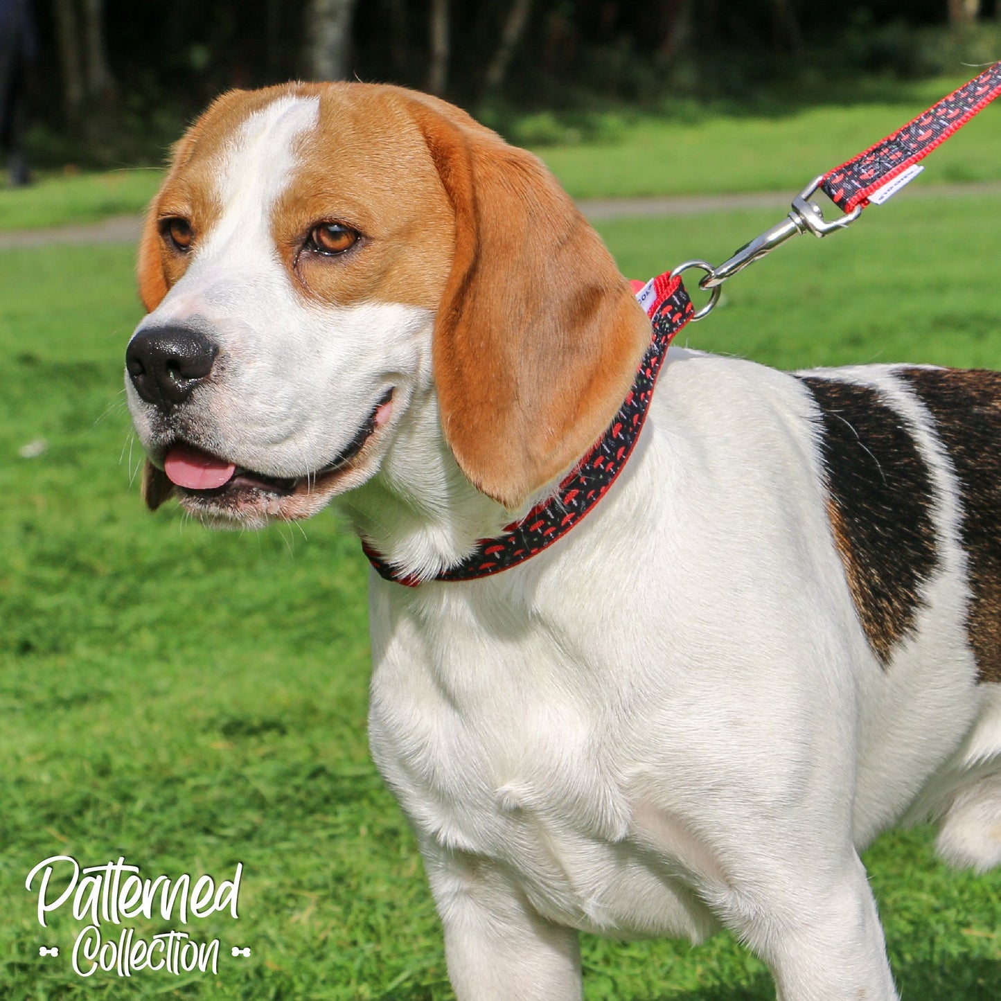 Ancol Mushroom Collar