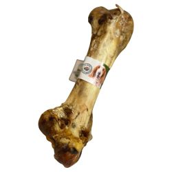 Antos Ostrich Dino Bone Single