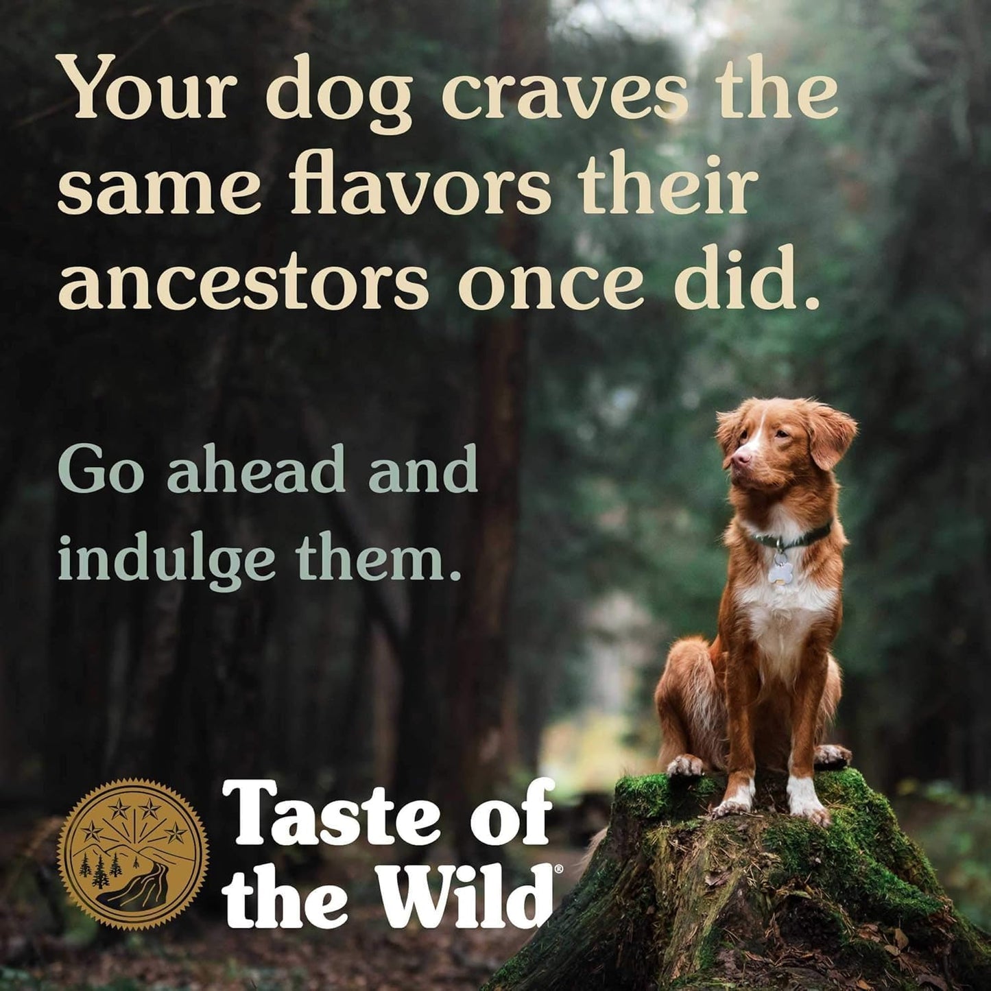 Taste Of The Wild Wetlands Canine Formula Grain Free Dry Dog Food 5.6kg