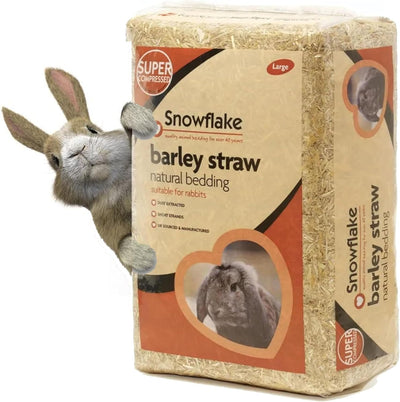 Snowflake Barley Straw