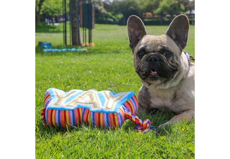 Ancol Pawty Yay Tugger