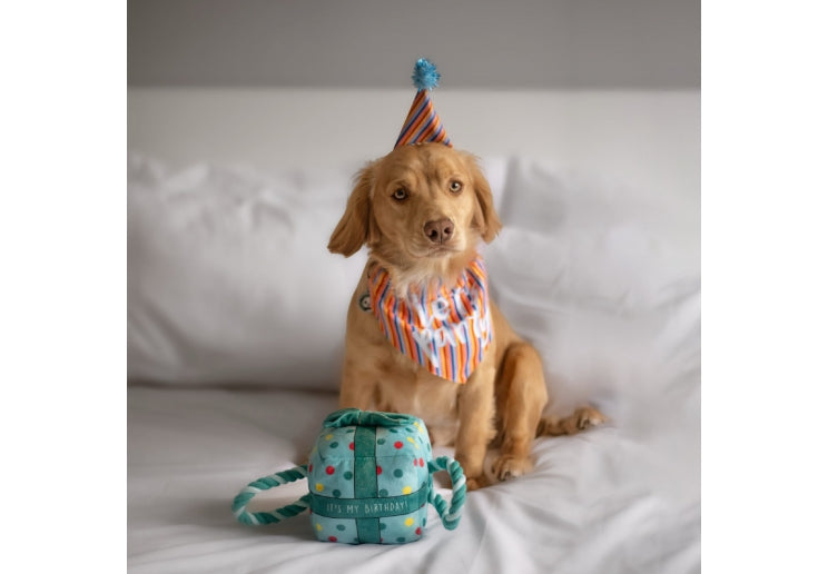 Ancol Pawty Stripe Hat with Bandana Set M/L