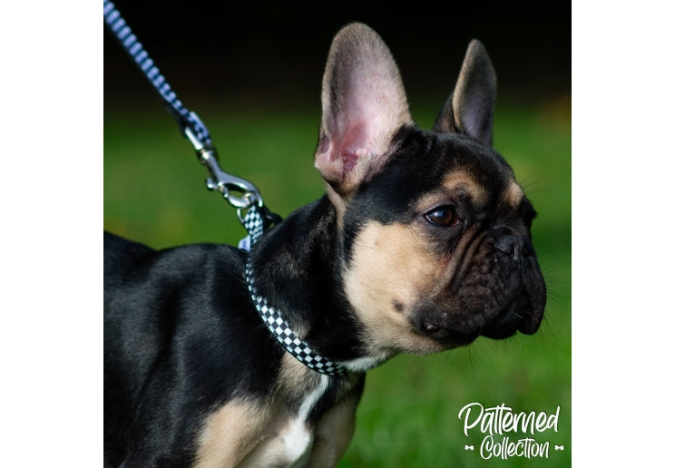 Ancol Checkerboard Lead 1mx19mm