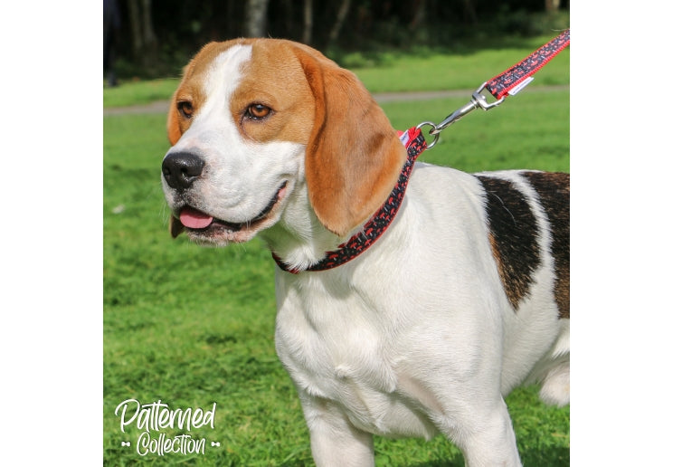 Ancol Mushroom Lead 1mx19mm