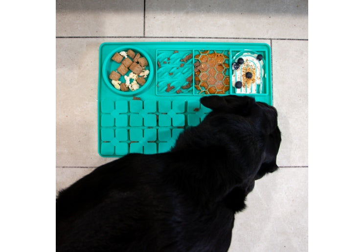 Ancol Orva Suction Cup Slow Feeding Station