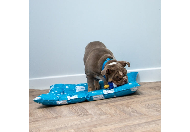 Ancol Ice Paws Mini Ice Lolly Cooling Toys