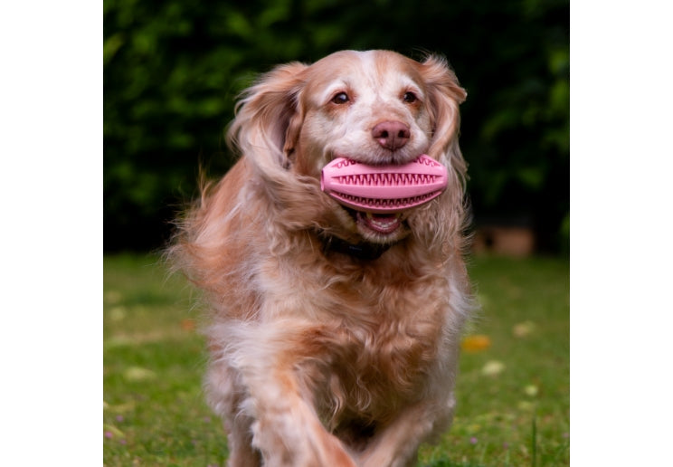 Ancol Orva Rugby Treat Ball