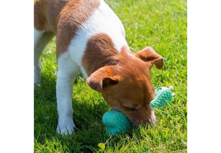 Ancol Orva Treat Bone