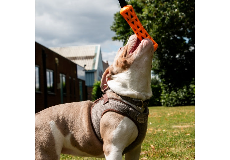 Ancol Extreme Floating Baton with Strap